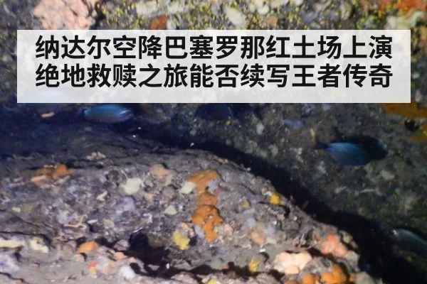 纳达尔空降巴塞罗那红土场上演绝地救赎之旅能否续写王者传奇