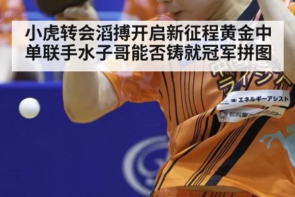 小虎转会滔搏开启新征程黄金中单联手水子哥能否铸就冠军拼图